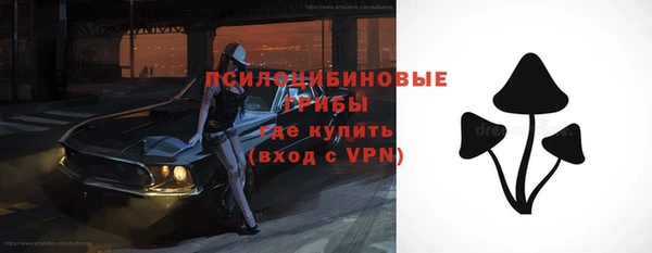 бошки Армянск