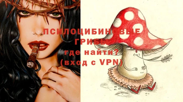прущая мука Арсеньев