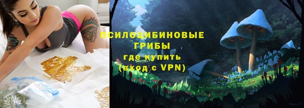 прущая мука Арсеньев