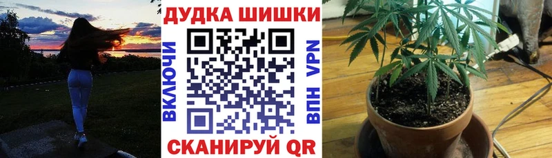 Конопля план Луховицы